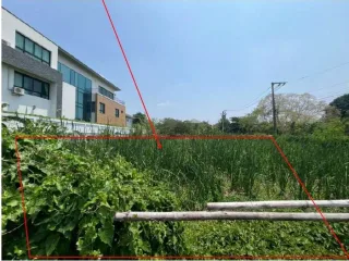 รูปทรัพย์ 1