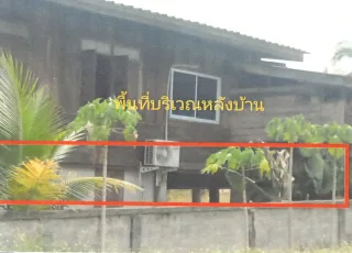 รูปทรัพย์ 2