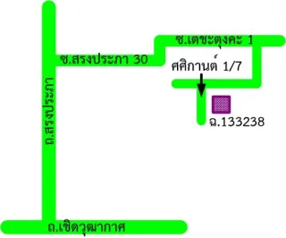 รูปทรัพย์ 2