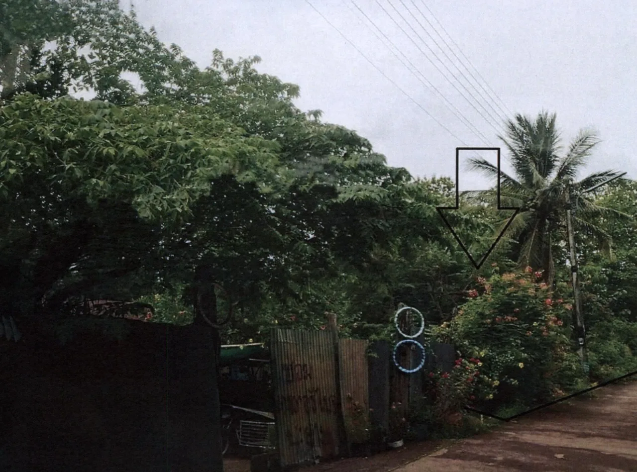 ขายทอดตลาด ที่ดินว่างเปล่า ต.บ้านหนุน อ.สอง จ.แพร่