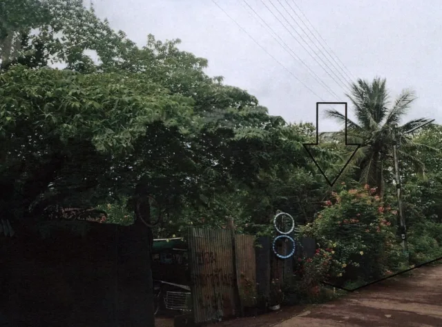 ขายทอดตลาด ที่ดินว่างเปล่า ต.บ้านหนุน อ.สอง จ.แพร่