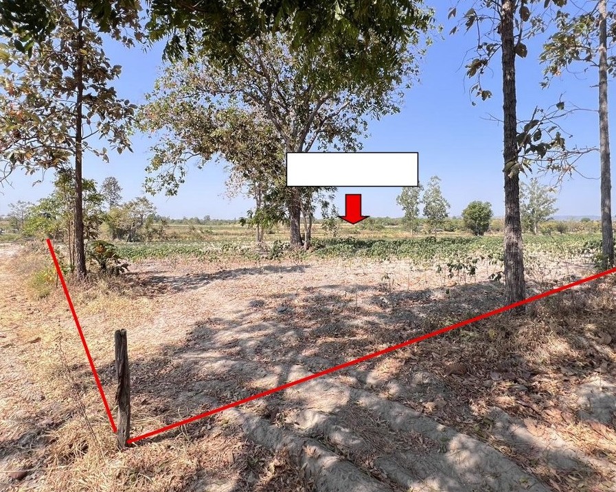 ขายทอดตลาด ที่ดินว่างเปล่า จ.ขอนแก่น