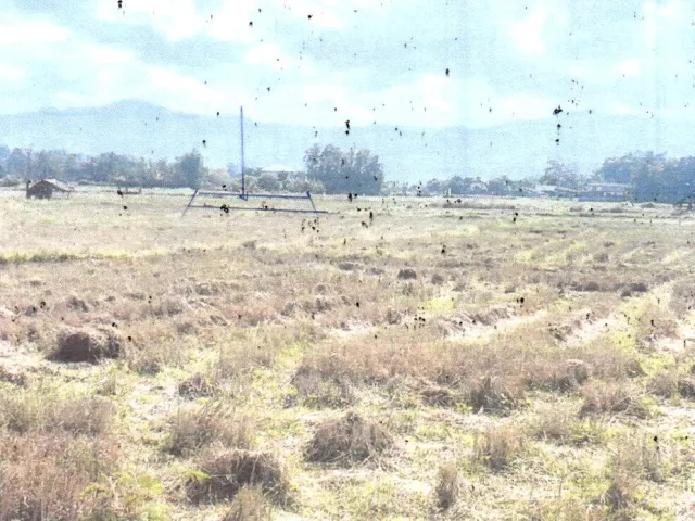 ขายทอดตลาด ที่ดินว่างเปล่า ต.นาจักร อ.เมืองแพร่ จ.แพร่