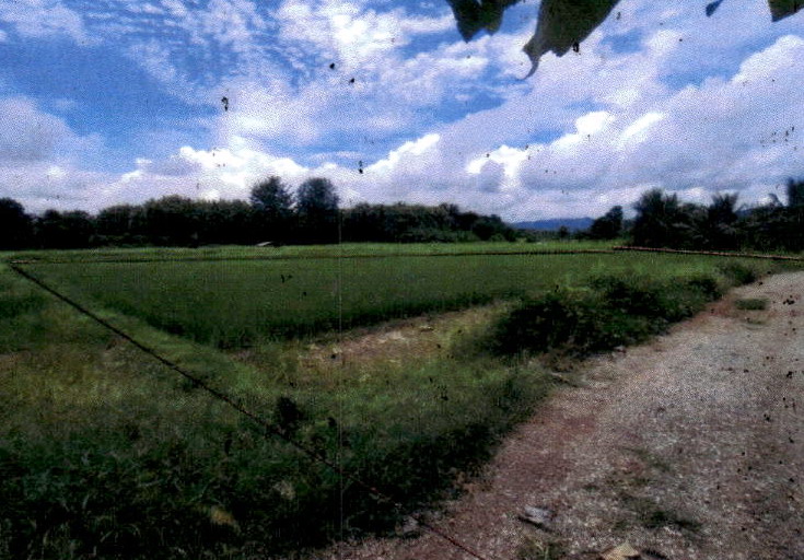 ขายทอดตลาด ที่ดินว่างเปล่า ต.วังธง อ.เมืองแพร่ จ.แพร่