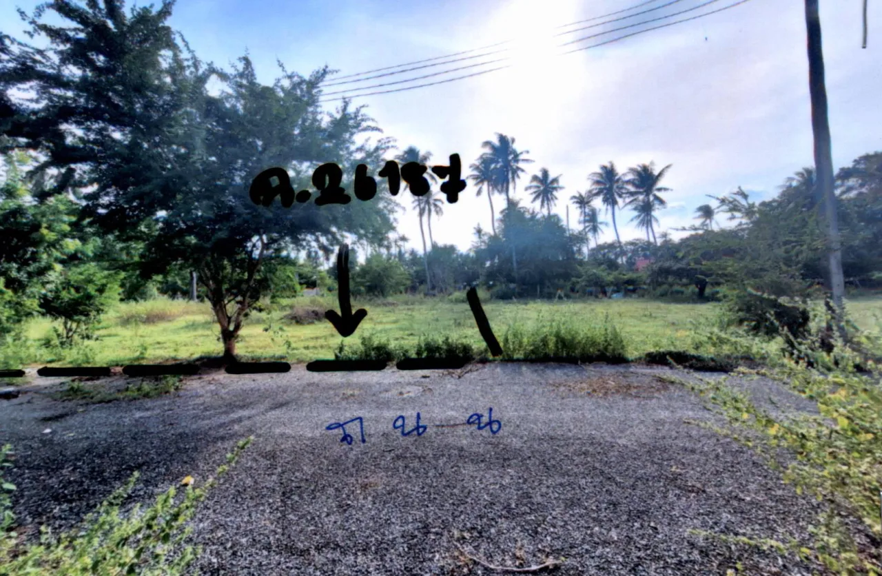 ขายทอดตลาด ที่ดินว่างเปล่า จ.ประจวบคีรีขันธ์
