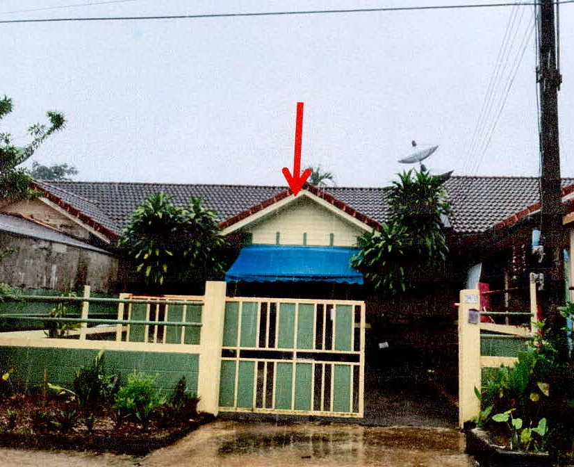 ขายทอดตลาด ที่ดินพร้อมสิ่งปลูกสร้าง ต.บางริ้น อ.เมืองระนอง จ.ระนอง