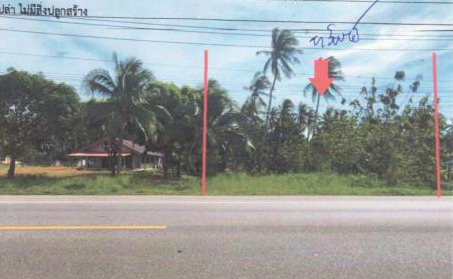 ขายทอดตลาด ที่ดินว่างเปล่า จ.ประจวบคีรีขันธ์