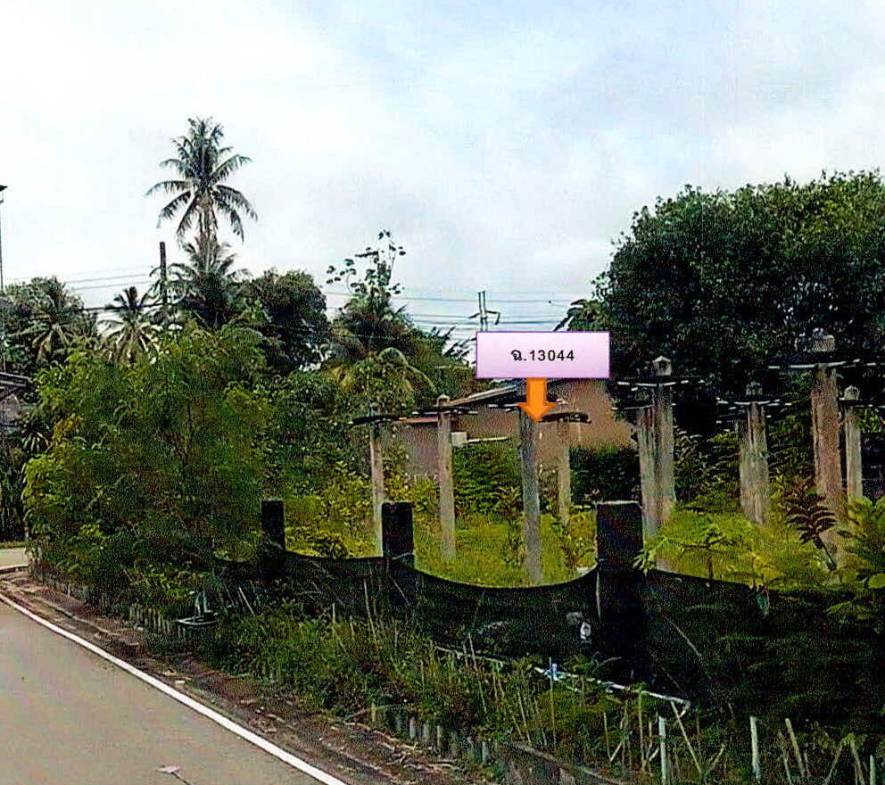 ขายทอดตลาด ที่ดินว่างเปล่า จ.ระนอง