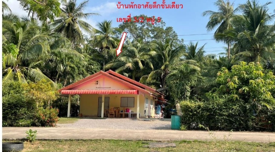 ขายทอดตลาด ที่ดินพร้อมสิ่งปลูกสร้าง ต.ทับสะแก อ.ทับสะแก จ.ประจวบคีรีขันธ์