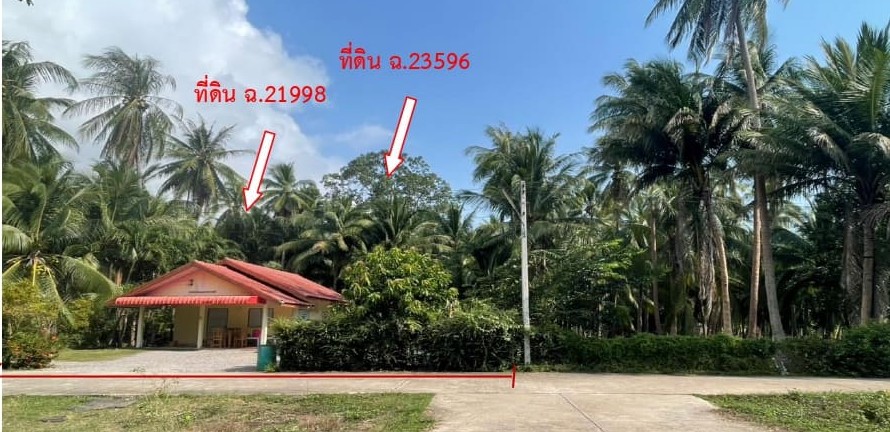 ขายทอดตลาด ที่ดินว่างเปล่า จ.ประจวบคีรีขันธ์