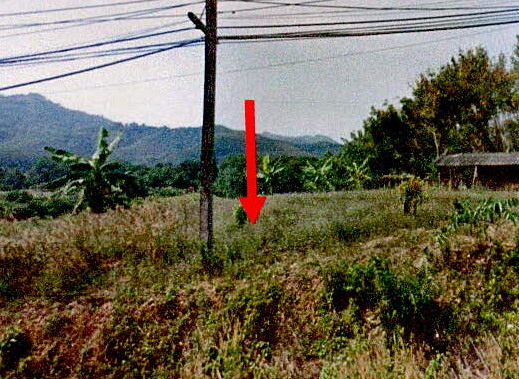 ขายทอดตลาด ที่ดินว่างเปล่า จ.ระนอง