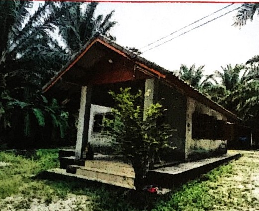 ขายทอดตลาด ที่ดินพร้อมสิ่งปลูกสร้าง ต.ราชกรูด อ.เมืองระนอง จ.ระนอง