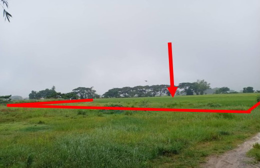 ขายทอดตลาด ที่ดินว่างเปล่า ต.ม่วงคำ อ.พาน จ.เชียงราย
