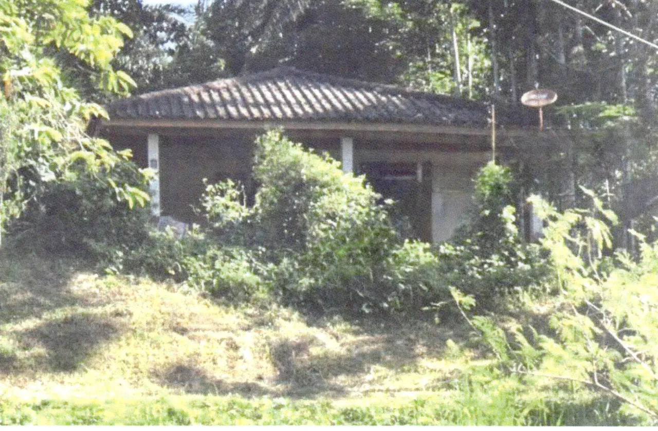 ขายทอดตลาด ที่ดินพร้อมสิ่งปลูกสร้าง ต.บ้านนา อ.กะเปอร์ จ.ระนอง