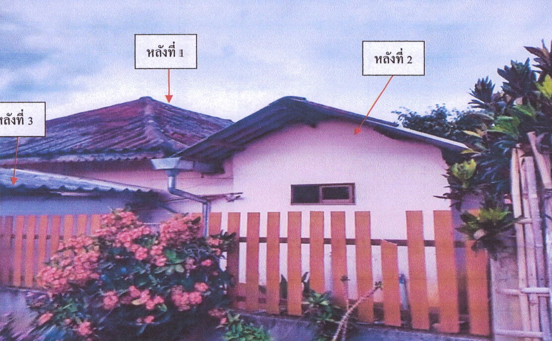 ขายทอดตลาด ที่ดินพร้อมสิ่งปลูกสร้าง ต.ท่าข้าวเปลือก อ.แม่จัน จ.เชียงราย
