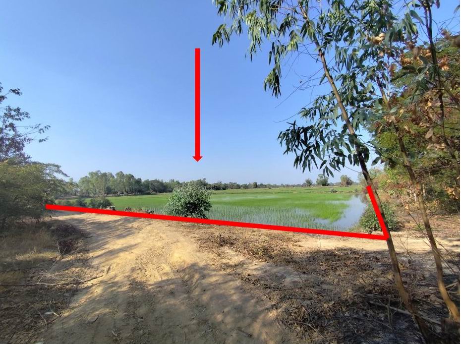 ขายทอดตลาด ที่ดินว่างเปล่า ต.โคกสำราญ อ.บ้านแฮด จ.ขอนแก่น
