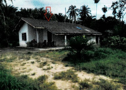 ขายทอดตลาด ที่ดินพร้อมสิ่งปลูกสร้าง ต.ราชกรูด อ.เมือง จ.ระนอง