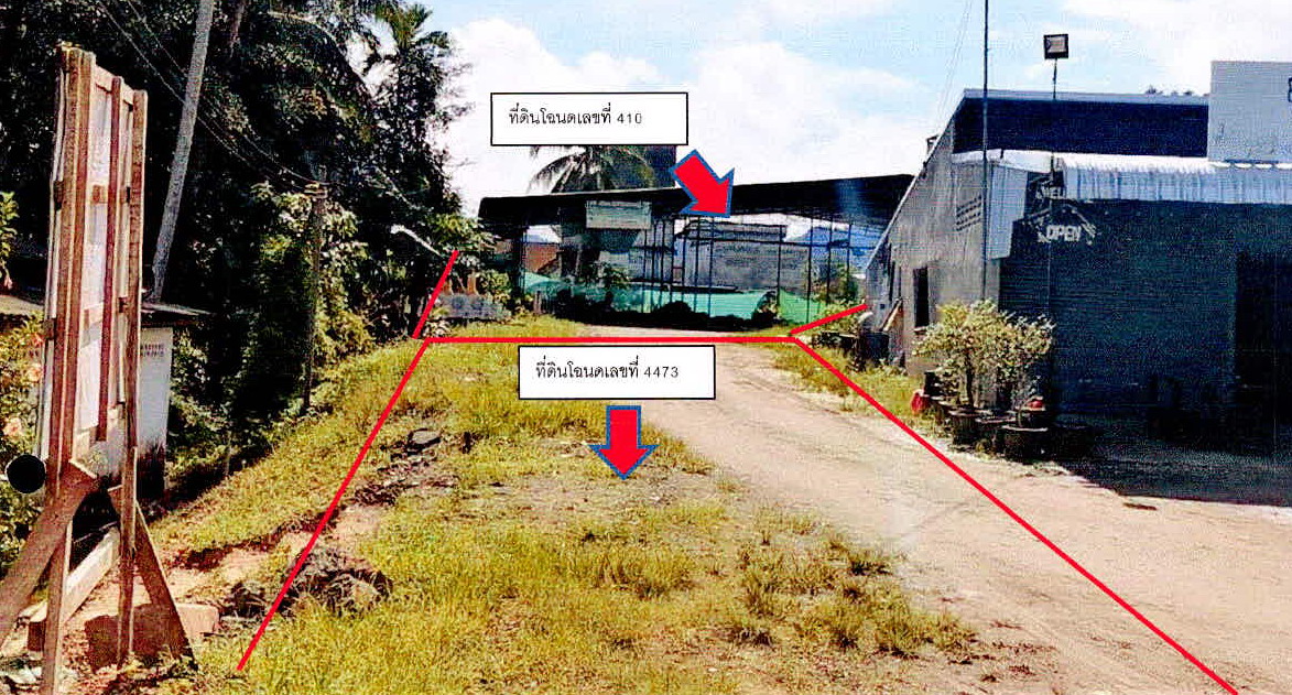 ขายทอดตลาด ที่ดินว่างเปล่า ต.น้ำจืด อ.กระบุรี จ.ระนอง