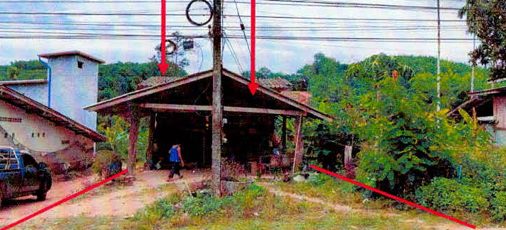 ขายทอดตลาด ที่ดินพร้อมสิ่งปลูกสร้าง ต.บ้านนา อ.กะเปอร์ จ.ระนอง