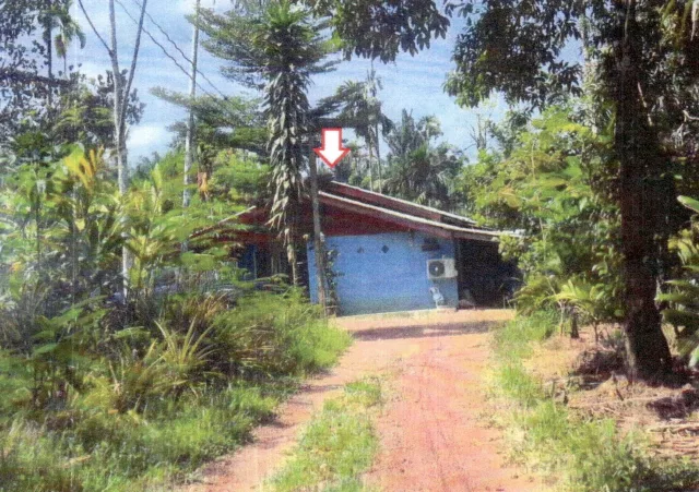 ขายทอดตลาด ที่ดินพร้อมสิ่งปลูกสร้าง ต.มะมุ อ.กระบุรี จ.ระนอง