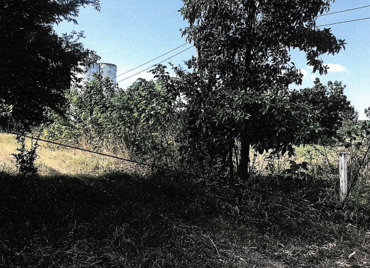 ขายทอดตลาด ที่ดินว่างเปล่า จ.ลพบุรี