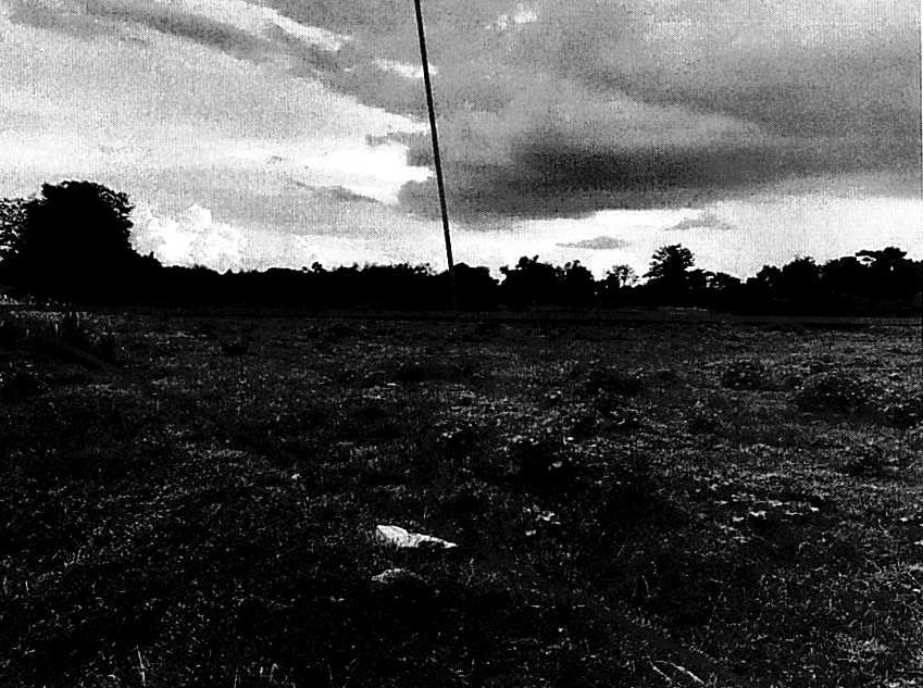ขายทอดตลาด ที่ดินว่างเปล่า จ.ลพบุรี