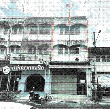 ขายทอดตลาด ที่ดินพร้อมสิ่งปลูกสร้าง ต.ลำนารายณ์ อ.ชัยบาดาล จ.ลพบุรี