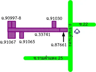 รูปทรัพย์ 2