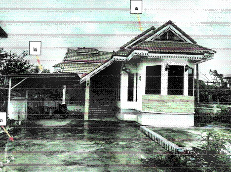 ขายทอดตลาด ที่ดินพร้อมสิ่งปลูกสร้าง ต.ชัยนารายณ์ อ.ชัยบาดาล จ.ลพบุรี