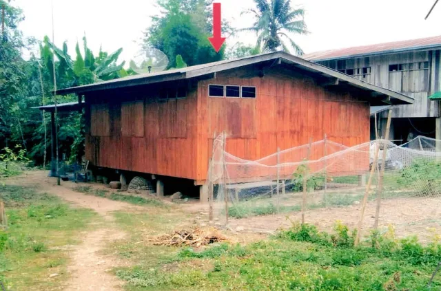 ขายทอดตลาด ที่ดินพร้อมสิ่งปลูกสร้าง ต.จอมจันทร์ อ.เวียงสา จ.น่าน