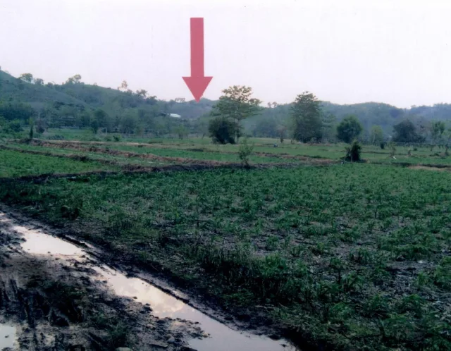 ขายทอดตลาด ที่ดินว่างเปล่า ต.เจดีย์ชัย อ.ปัว จ.น่าน