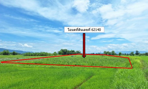 ขายทอดตลาด ที่ดินว่างเปล่า ต.สันมะเค็ด อ.พาน จ.เชียงราย
