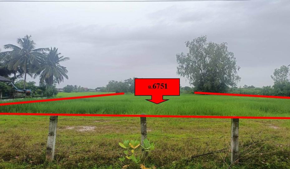 ขายทอดตลาด ที่ดินว่างเปล่า จ.ศรีสะเกษ