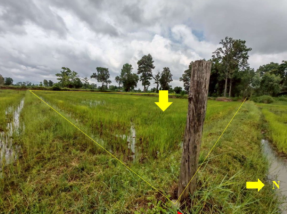 ขายทอดตลาด ที่ดินว่างเปล่า จ.ศรีสะเกษ