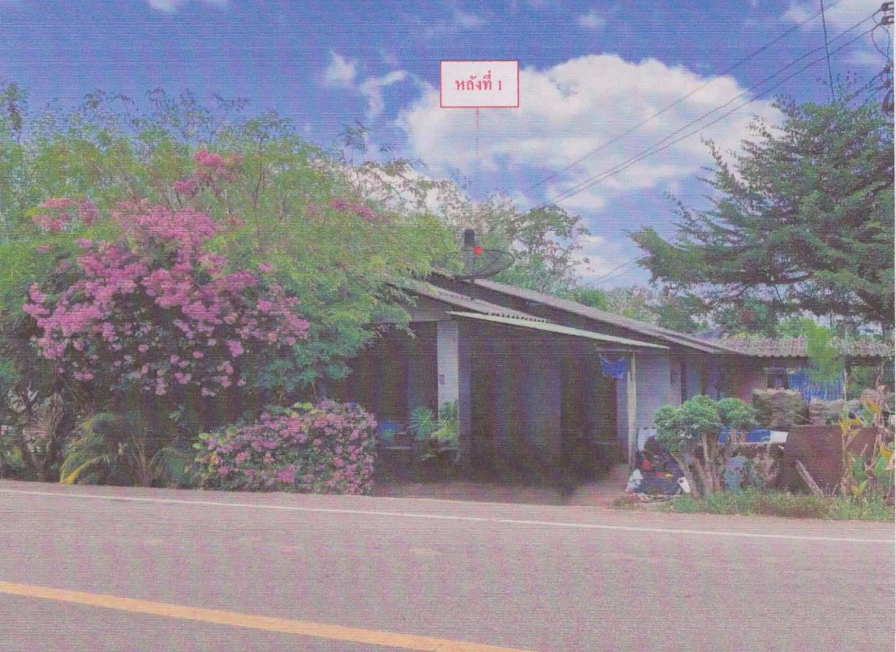ขายทอดตลาด ที่ดินพร้อมสิ่งปลูกสร้าง ต.ทุ่งกระบือ อ.ย่านตาขาว จ.ตรัง