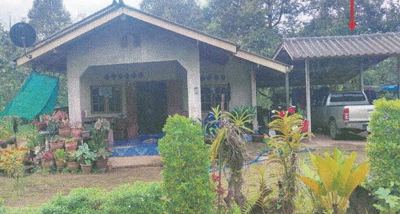 ขายทอดตลาด ที่ดินพร้อมสิ่งปลูกสร้าง ต.ท่าข้าม อ.ท่าแซะ จ.ชุมพร