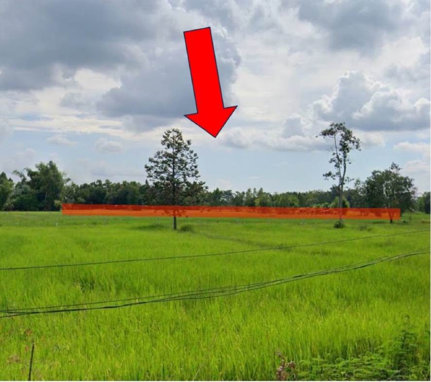 ขายทอดตลาด ที่ดินว่างเปล่า จ.ศรีสะเกษ