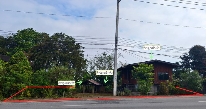ขายทอดตลาด ที่ดินพร้อมสิ่งปลูกสร้าง ต.ศรีเมืองชุม อ.แม่สาย จ.เชียงราย