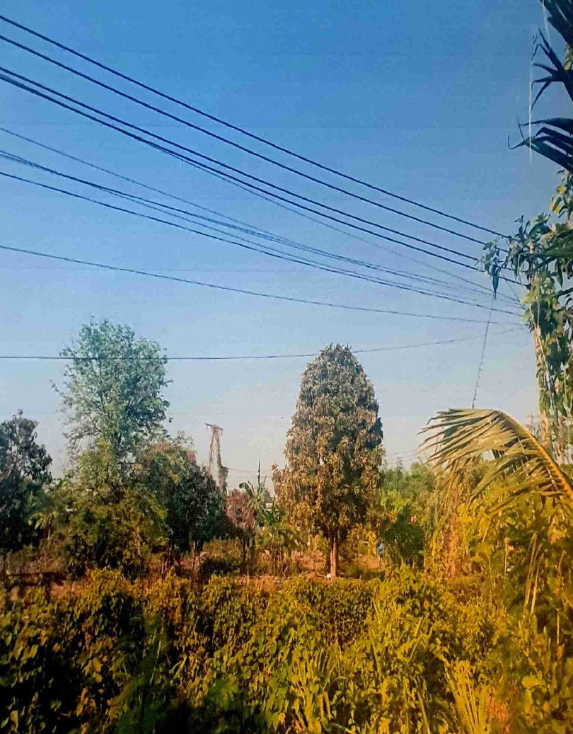 ขายทอดตลาด ที่ดินว่างเปล่า จ.ปทุมธานี