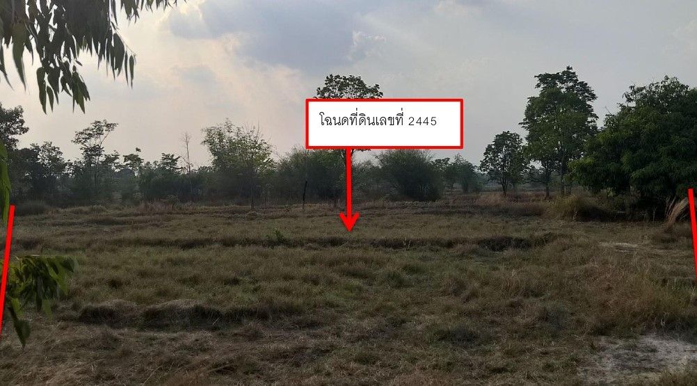 ขายทอดตลาด ที่ดินว่างเปล่า จ.ศรีสะเกษ