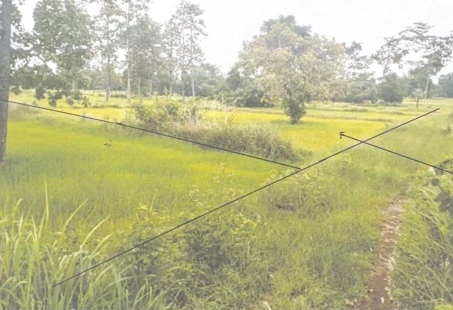 ขายทอดตลาด ที่ดินว่างเปล่า จ.ศรีสะเกษ