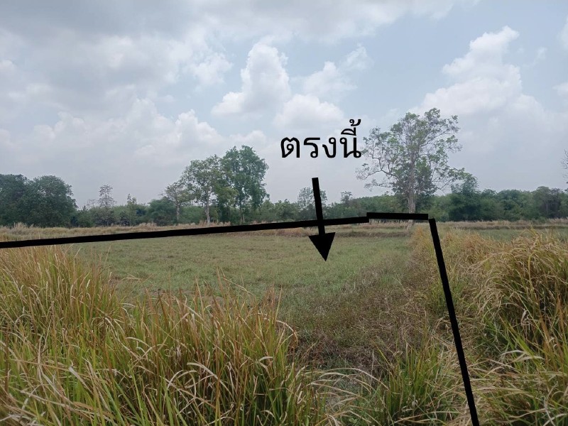 ขายทอดตลาด ที่ดินว่างเปล่า จ.ศรีสะเกษ