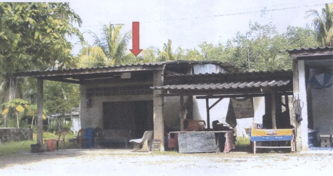 ขายทอดตลาด ที่ดินพร้อมสิ่งปลูกสร้าง ต.ท่าสะบ้า อ.วังวิเศษ จ.ตรัง