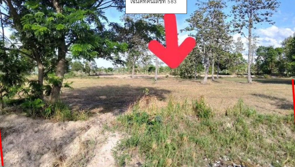 ขายทอดตลาด ที่ดินว่างเปล่า จ.ศรีสะเกษ