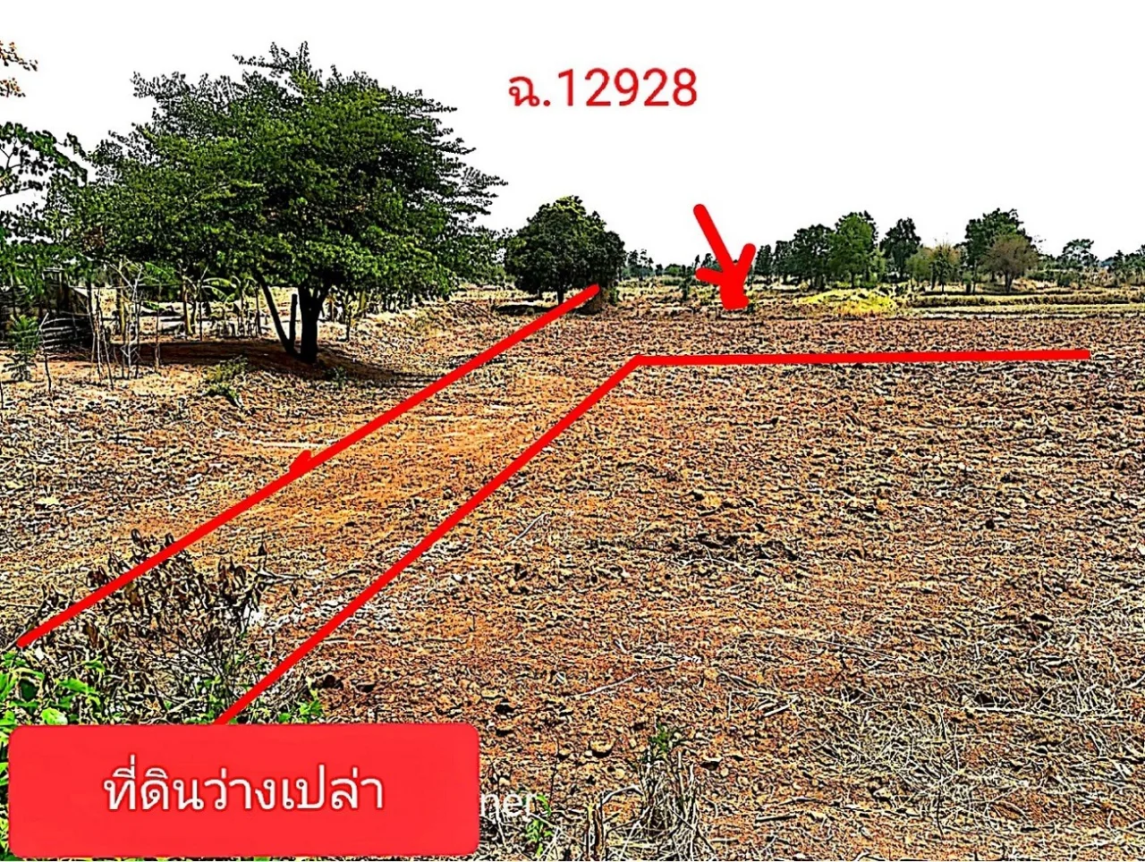 ขายทอดตลาด ที่ดินว่างเปล่า ต.ซับสมบูรณ์ อ.โคกโพธิ์ไชย จ.ขอนแก่น