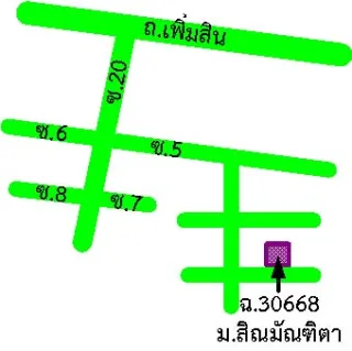 รูปทรัพย์ 2