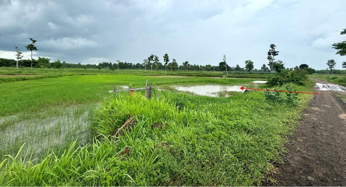 ขายทอดตลาด ที่ดินว่างเปล่า ต.ท่าคล้อ อ.เบญจลักษ์ จ.ศรีสะเกษ