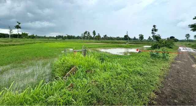 ขายทอดตลาด ที่ดินว่างเปล่า ต.ท่าคล้อ อ.เบญจลักษ์ จ.ศรีสะเกษ
