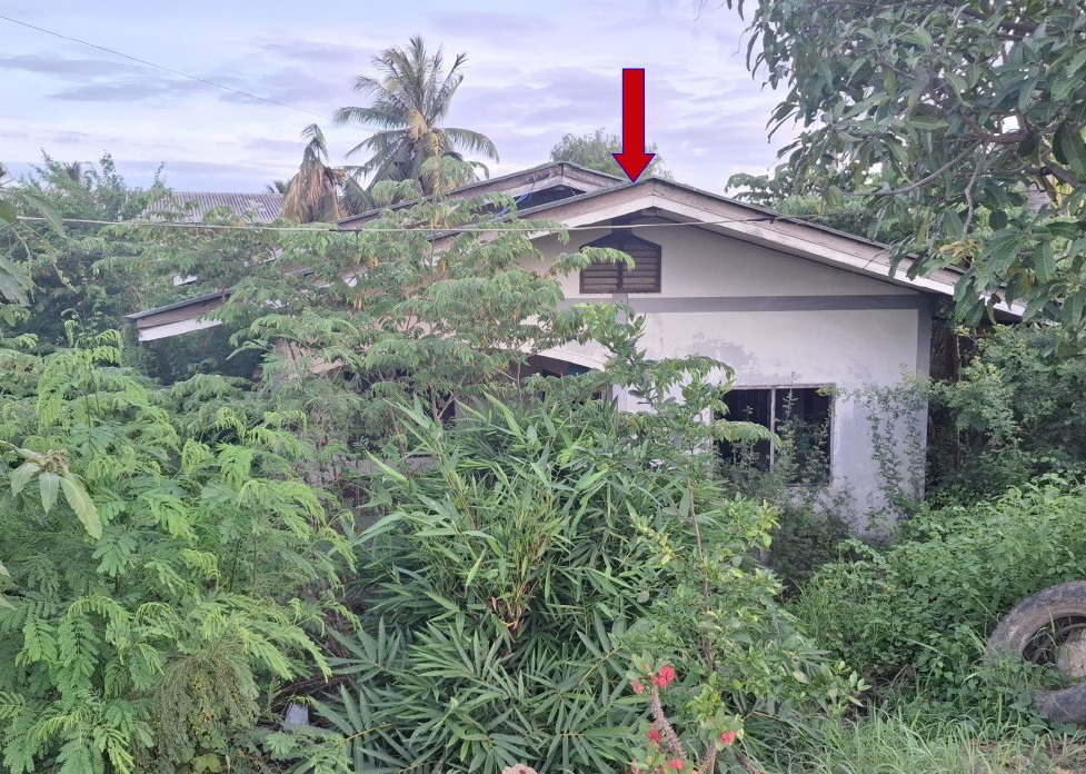 ขายทอดตลาด ที่ดินพร้อมสิ่งปลูกสร้าง ต.อุโลกสี่หมื่น อ.ท่ามะกา จ.กาญจนบุรี
