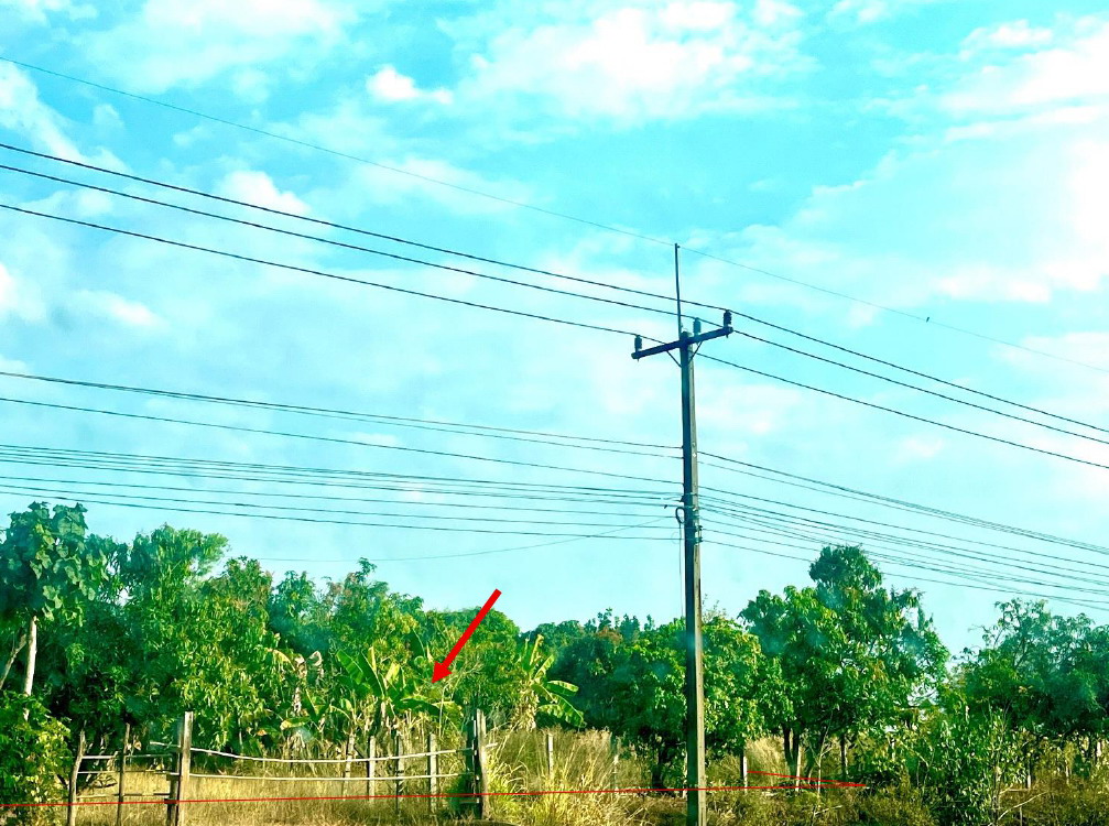 ขายทอดตลาด ที่ดินว่างเปล่า จ.สกลนคร